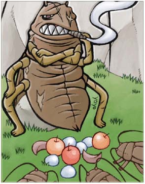 Female Thief Bug Card